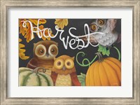 Framed Harvest Owl IV