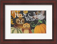 Framed Harvest Owl IV