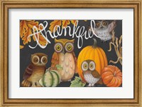 Framed Harvest Owl III