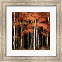 Framed October Woods