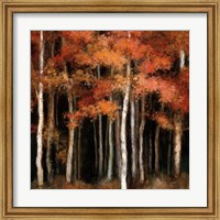 Framed October Woods