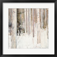 Warm Winter Light II Framed Print