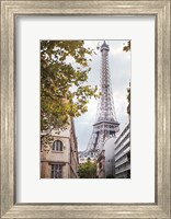 Framed Eiffel View II