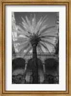 Framed Palermo