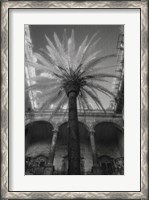 Framed Palermo