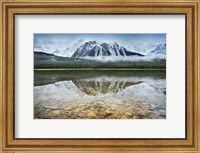 Framed Waterfowl Lake I