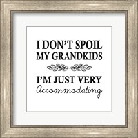 Framed I Don't Spoil My Grandkids Leaf Design White