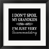 Framed I Don't Spoil My Grandkids Leaf Design Black