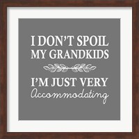 Framed I Don't Spoil My Grandkids Leaf Design Gray