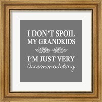 Framed I Don't Spoil My Grandkids Leaf Design Gray