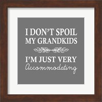 Framed I Don't Spoil My Grandkids Leaf Design Gray