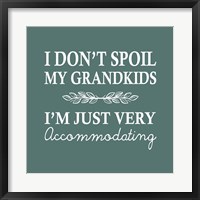 Framed I Don't Spoil My Grandkids Leaf Design Teal