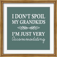 Framed I Don't Spoil My Grandkids Leaf Design Teal
