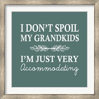 Framed I Don't Spoil My Grandkids Leaf Design Teal