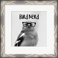 Framed 'Bird Nerd - Chaffinch' border=