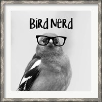 Framed Bird Nerd - Chaffinch