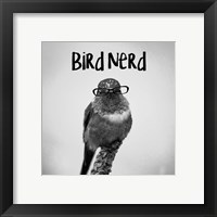 Framed 'Bird Nerd - Hummingbird' border=