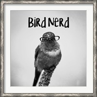 Framed Bird Nerd - Hummingbird