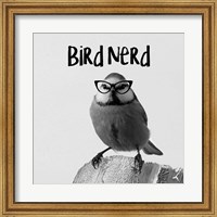 Framed Bird Nerd - Blue Tit