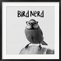 Framed Bird Nerd - Blue Tit