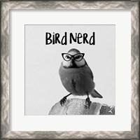 Framed 'Bird Nerd - Blue Tit' border=