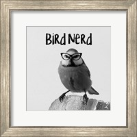Framed 'Bird Nerd - Blue Tit' border=