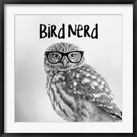 Framed Bird Nerd - Owl