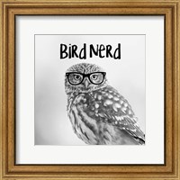 Framed Bird Nerd - Owl