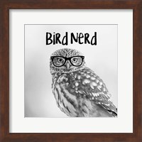Framed 'Bird Nerd - Owl' border=