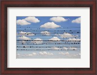 Framed Cantus Arcticus - Concerto For Birds