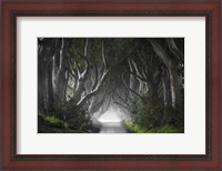 Framed Dark Hedges