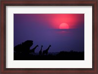 Framed Sunrise In Uganda