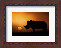 Framed Rhino Sunrise