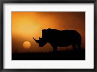 Framed Rhino Sunrise