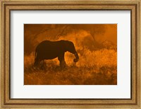 Framed Golden Elephant In Savute