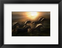 Framed Morning  Gallop