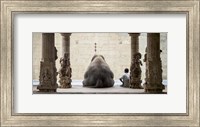Framed Elephant & Its Mahot