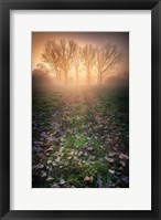 Framed Misty Morning