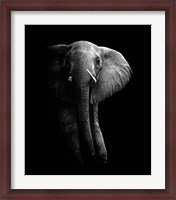 Framed Elephant!