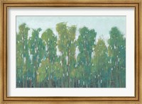 Framed Forest Green II