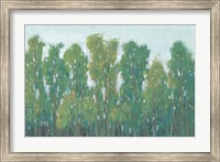 Framed Forest Green II