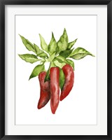 Framed Watercolor Veggie II