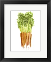 Framed Watercolor Veggie III