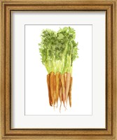 Framed Watercolor Veggie III