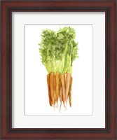 Framed Watercolor Veggie III