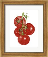 Framed Watercolor Veggie IV