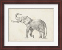 Framed Elephant Sketch I