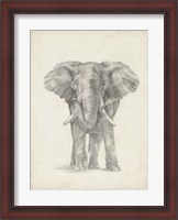 Framed Elephant Sketch II