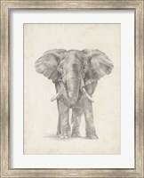 Framed Elephant Sketch II