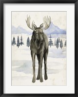 Alaskan Wilderness I Framed Print
